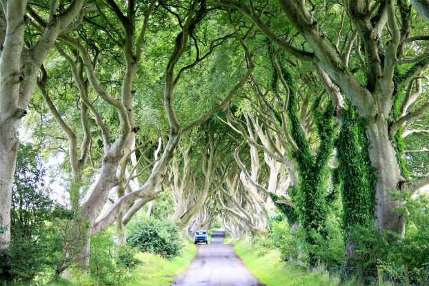 Oliver L&uuml;ck Aufmacher, &copy; kub