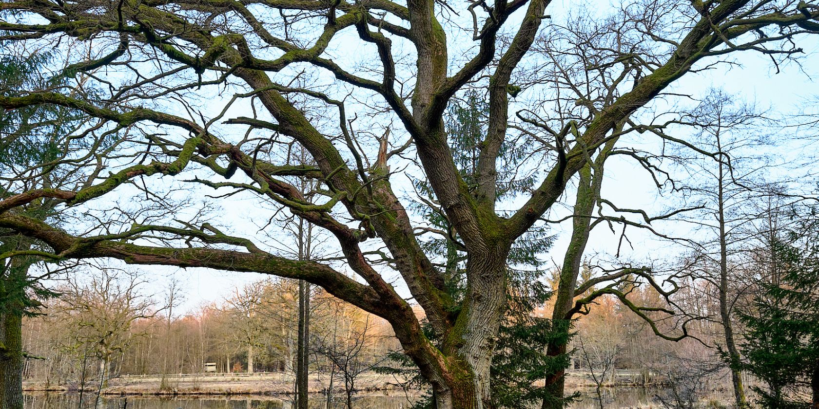 , &copy; Harald Lemke