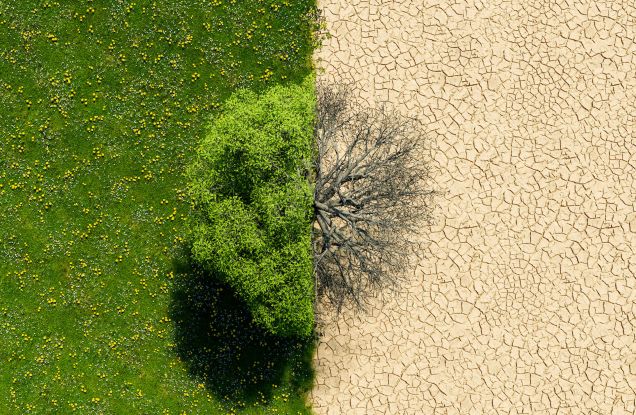 Plan B für das Klima?, © iStock/Antonio Solano