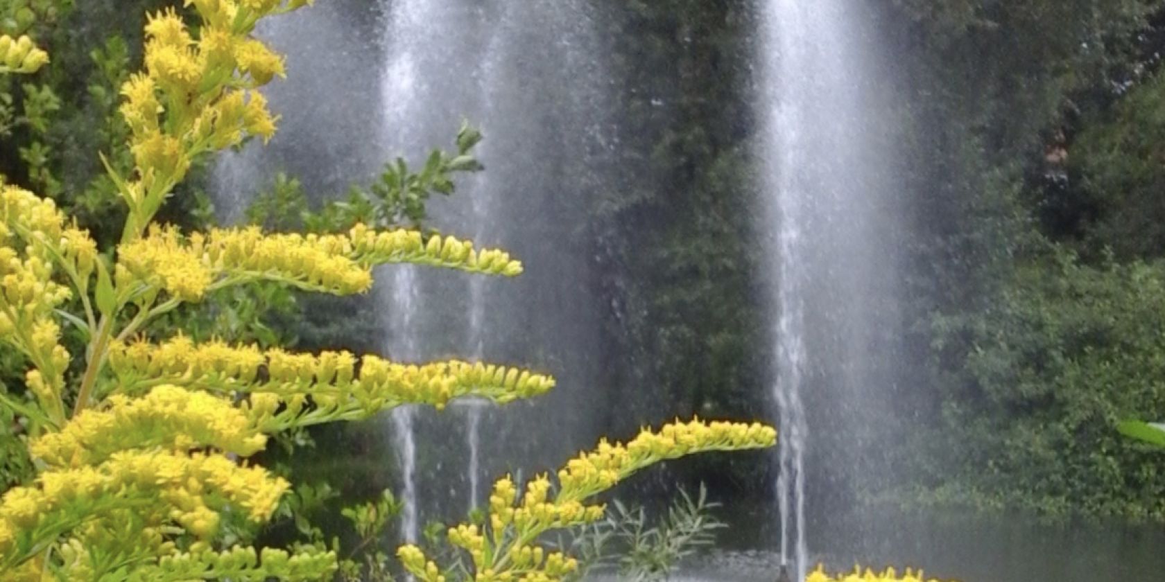 Fontäne im Kurpark, © Iris Baumgarten