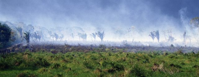 Waldbrand im Petén, © Frank Herrmann