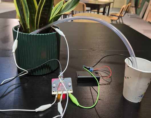 20250802-Fröhliche-Pflanzen-mit-microbit, © 105 Viertel