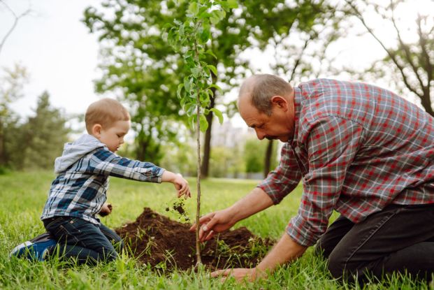 baum-pflanzencmaksym-belchenkoistock-1250004921-1500x1001, &copy; Maksym Belchenko/istock.com