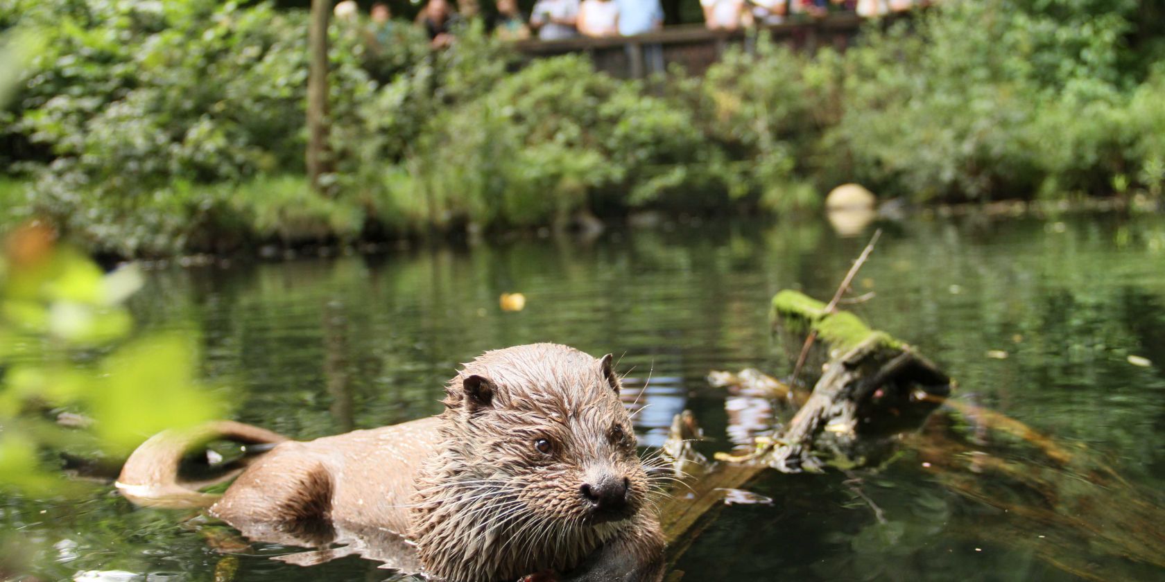 Die Gäste lauschen der kommentierten Schaufütterung am Otter-Teich., © Jan Piecha