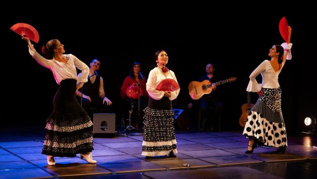 Mi Mundo Flamenco, &copy; Daniela Incoronta