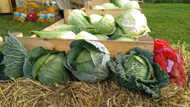 Wochenmarkt, &copy; Dithmarschen Tourismus