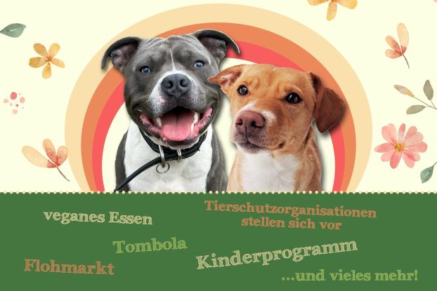 Tierschutzfest 2026, &copy; Hamburger Tierschutzverein von 1841 e.V.