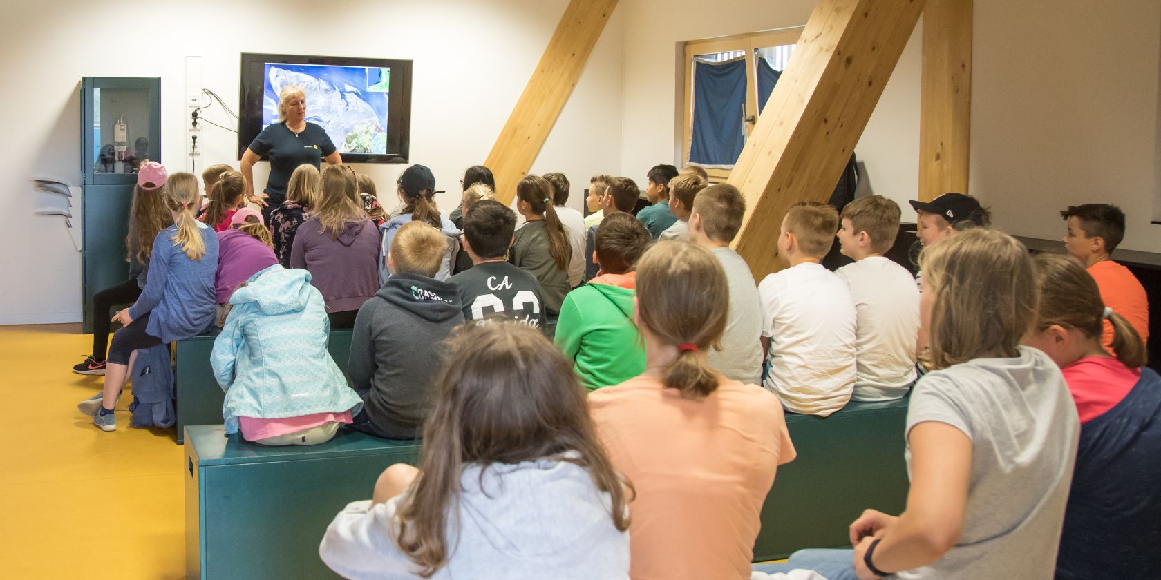 Dieses Jahr muss es klappen – eine aufregende Zugvogelgeschichte in bewegten Bildern, © Wattenmeer-Besucherzentrum Cuxhaven