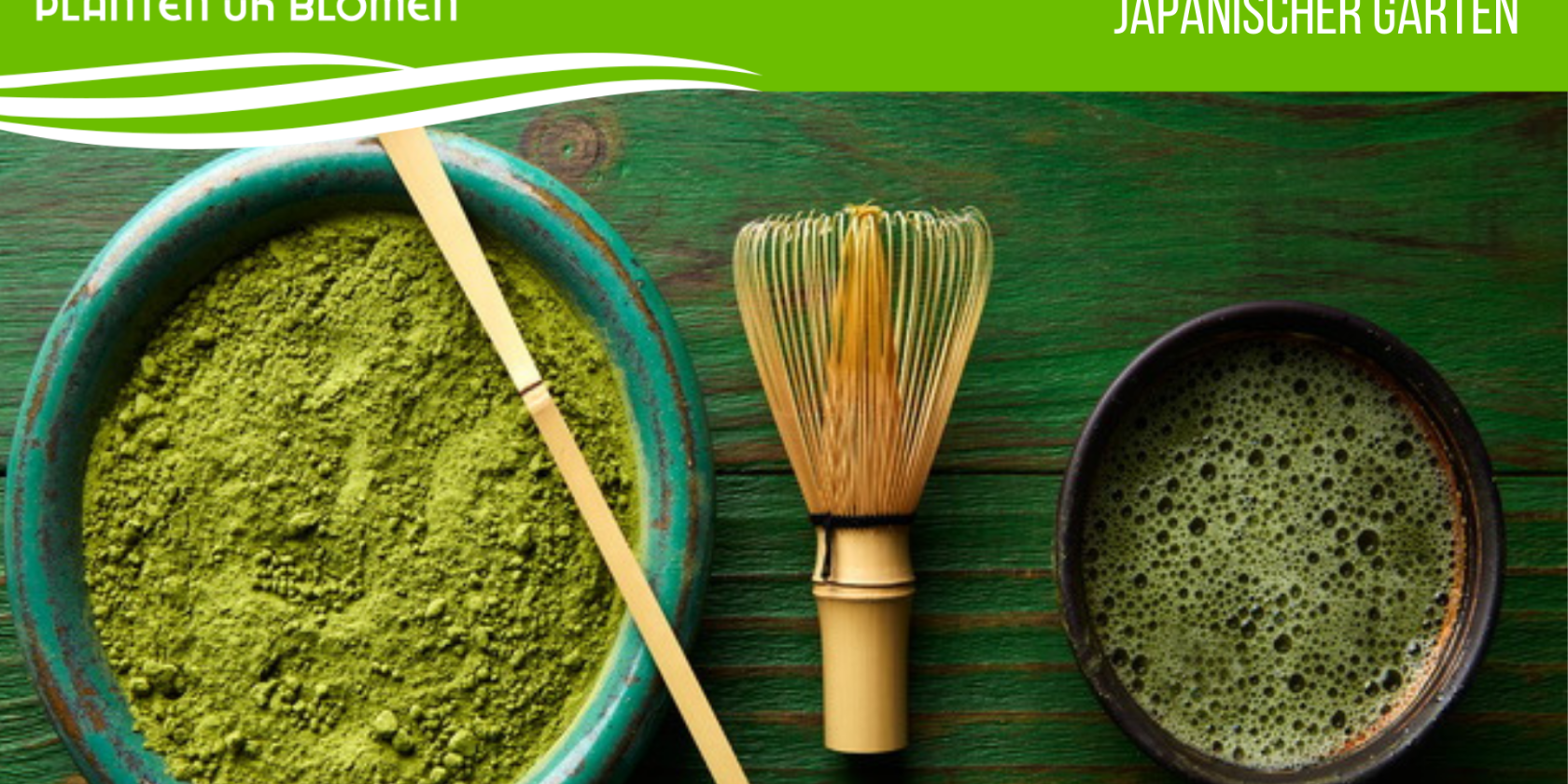 planten-un-blomen, &copy; lunamarina l Fotolia