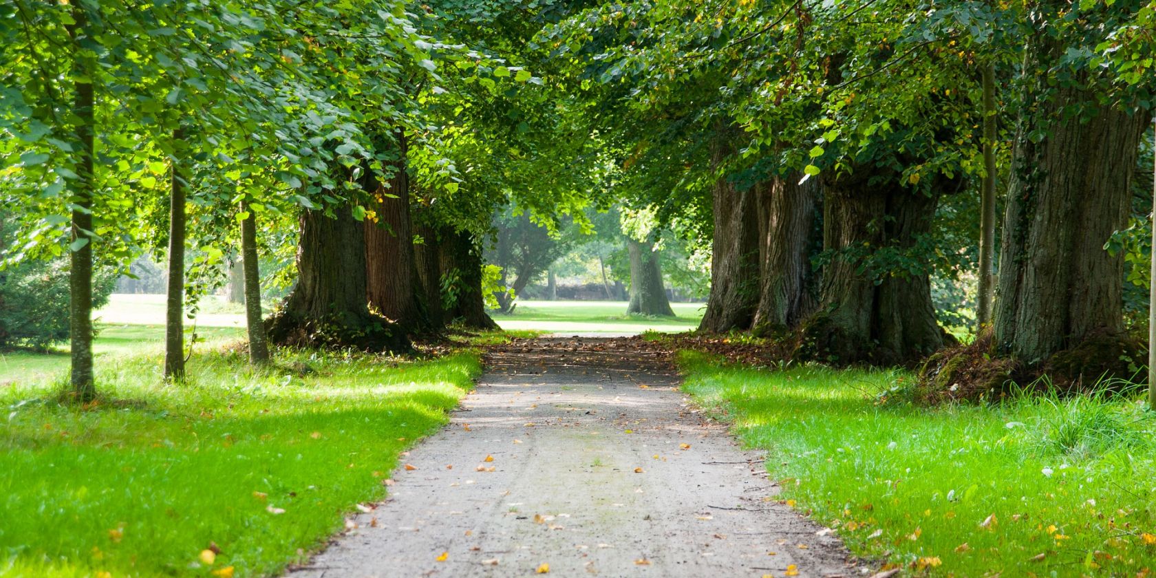 avenue-4964960_1920, &copy; pixabay kostenlose Bilder