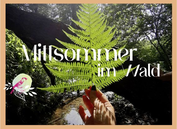 mitsommer in Hamburg, &copy; Shutterstock