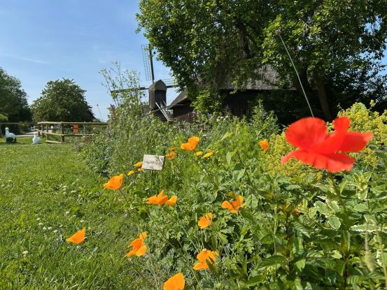 Rieck Haus - Garten, &copy; Bergedorfer Museumslandschaft