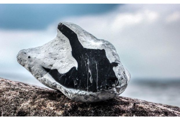 Steine, Fossilien & Meer, &copy; GeoPark Nordisches Steinreich e.V.