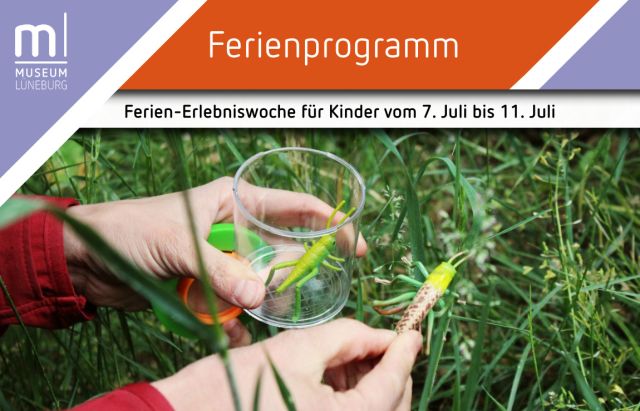 Insekten-Erlebniswoche, © Museum Lüneburg