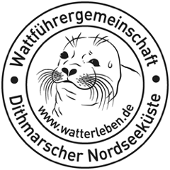 Wattführung & Krabbenfischen, © Wattführergemeinschaft Dithmarscher Nordseeküste