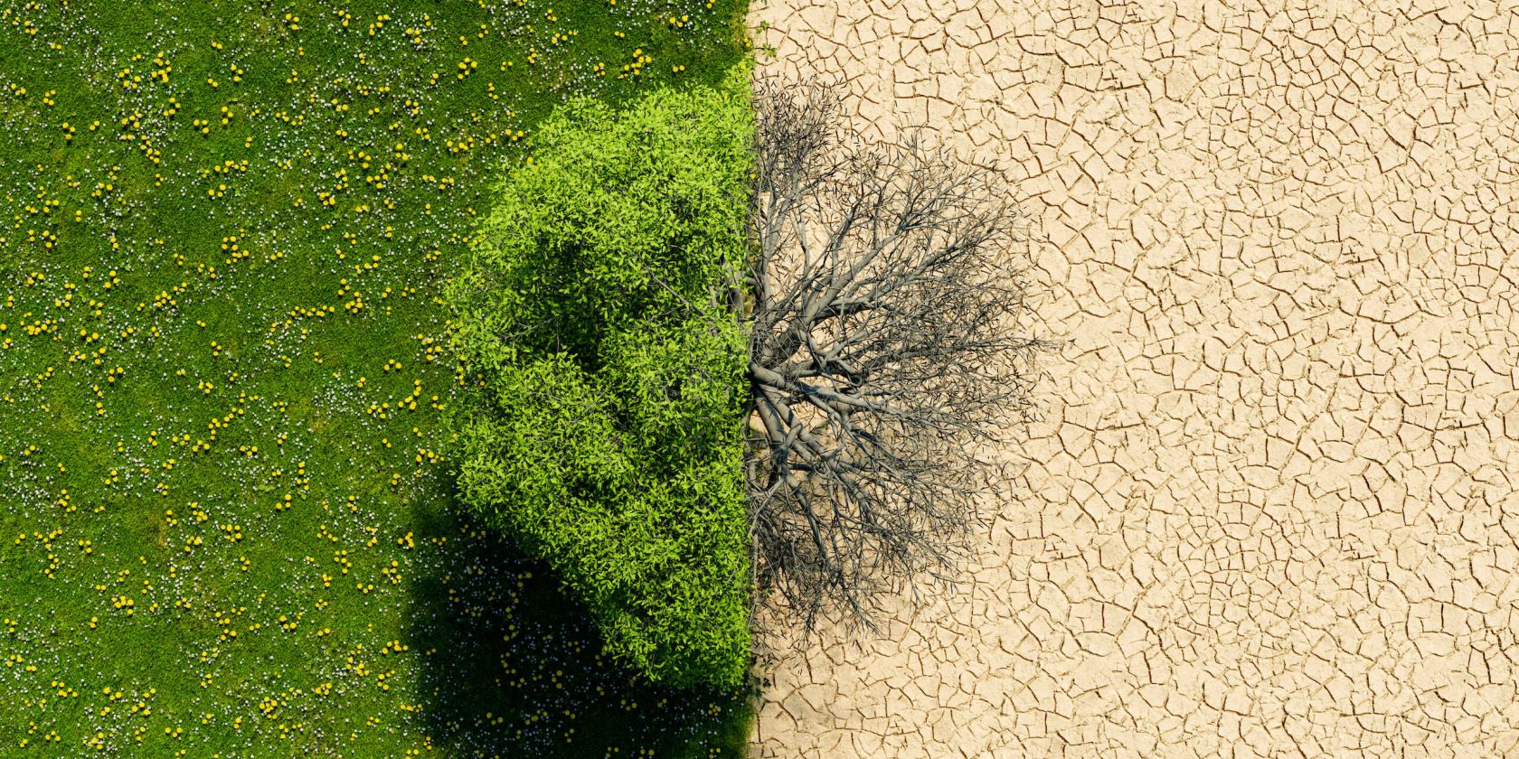 Plan B für das Klima?, © iStock/Antonio Solano