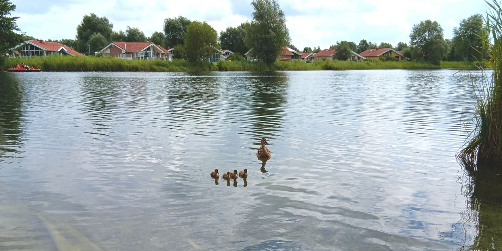 Jahreszeiten-Spaziergang f&uuml;r Trauernde, &copy; Hospizgruppe Land Hadeln e. V.