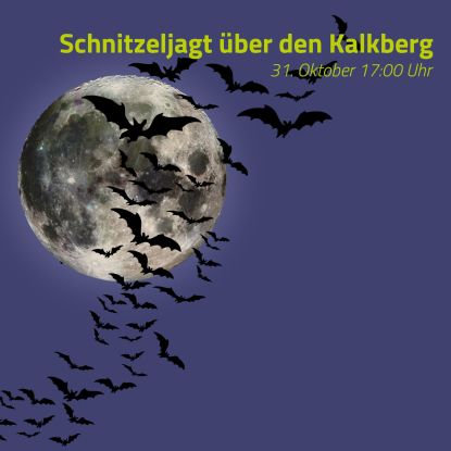 A swarm of bats before the full moon, &copy; Fledermaus-Zentrum GmbH