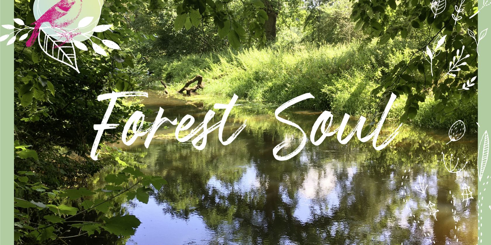 Auszeit im Wald -Forest Soul, waldimpuls-hamburg, &copy; claudia.keil@gmx.de