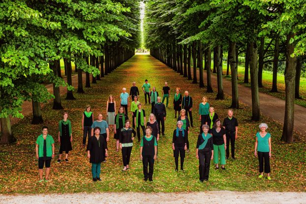 Herbstkonzert Jazzchor Celle, © Jo Titze