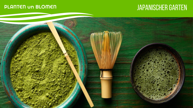 planten-un-blomen, &copy; lunamarina l Fotolia