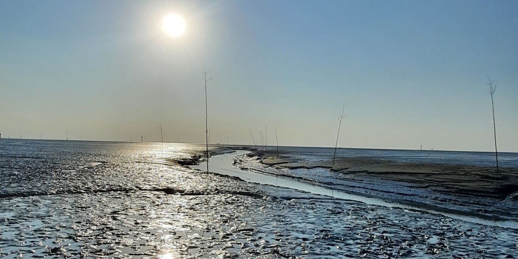 Kurs Halten f&uuml;rs Wattenmeer - Wremen: Seezeichen und Fischerei im Watt entdecken (empfohlen ab 10 Jahren), &copy; NPH