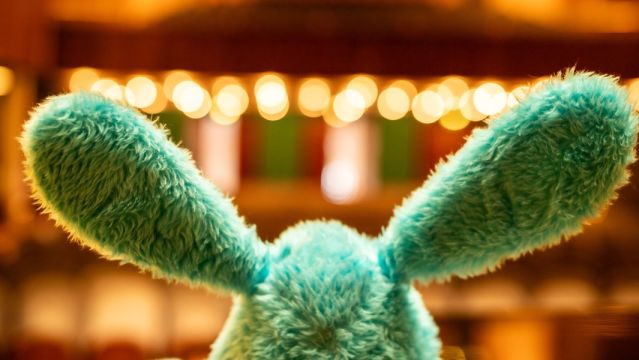 Hasi-Konzert, &copy; Cove Nouveau