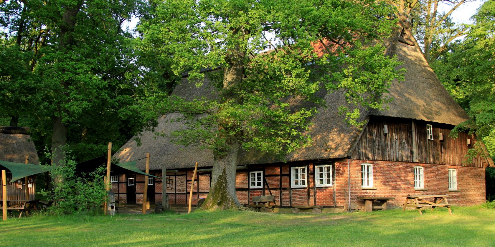 walderlebnis-ehrhorn2018ab, © Schneverdingen Touristik