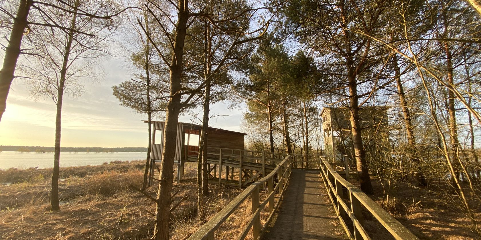 Planmäßige Moorbahnfahrten ins Tister Bauernmoor, © Ingrid Krause - Touristikverband LK Rotenburg