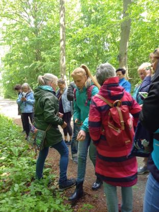 Kräuterwanderung, © Tourismus-Service Kellenhusen