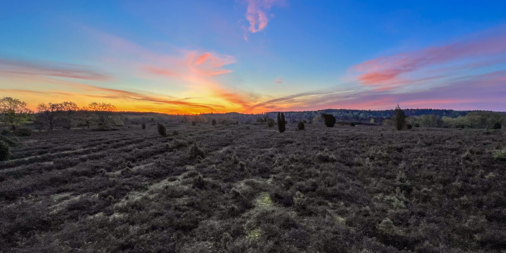 Mitten durch das Naturschutzgebiet Lüneburger Heide - vom Fürstengrab bis Wilsede, © Bispingen Touristik e.V., Dominik Marwede