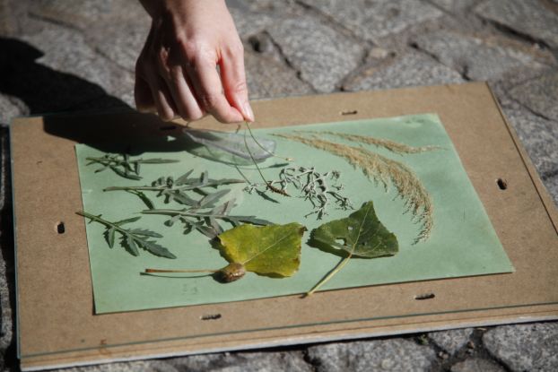 mg_4059, &copy; www.document-architecture.com