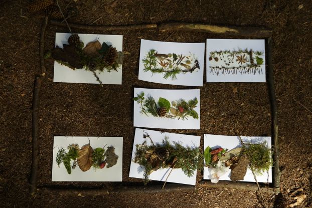 Wald-Collage, &copy; Vanessa Pfajfer