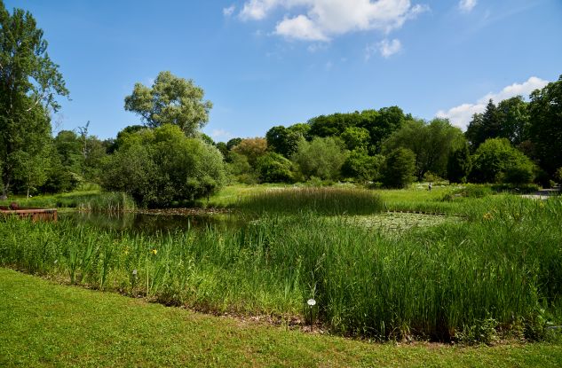 Botanischer Garten Frankfurt, © Tom Wolf