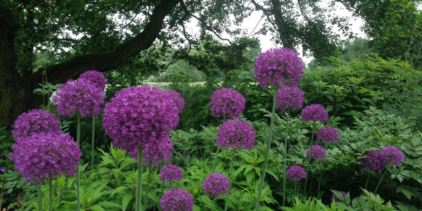 13495545_531001277084584_63842898085509703_o, © Nina Schewe