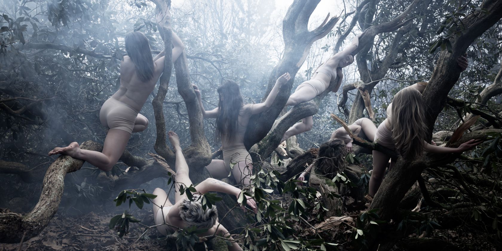Six performers writhe around the branches of a tree. They are wearing beige underwear. The atmosphere is gloomy, the tree is bare and shrouded in fog., &copy; Maria Gibert