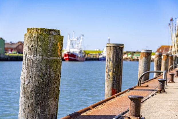 Ortsrundgang - Büsum binnen und buten, © TMS Büsum