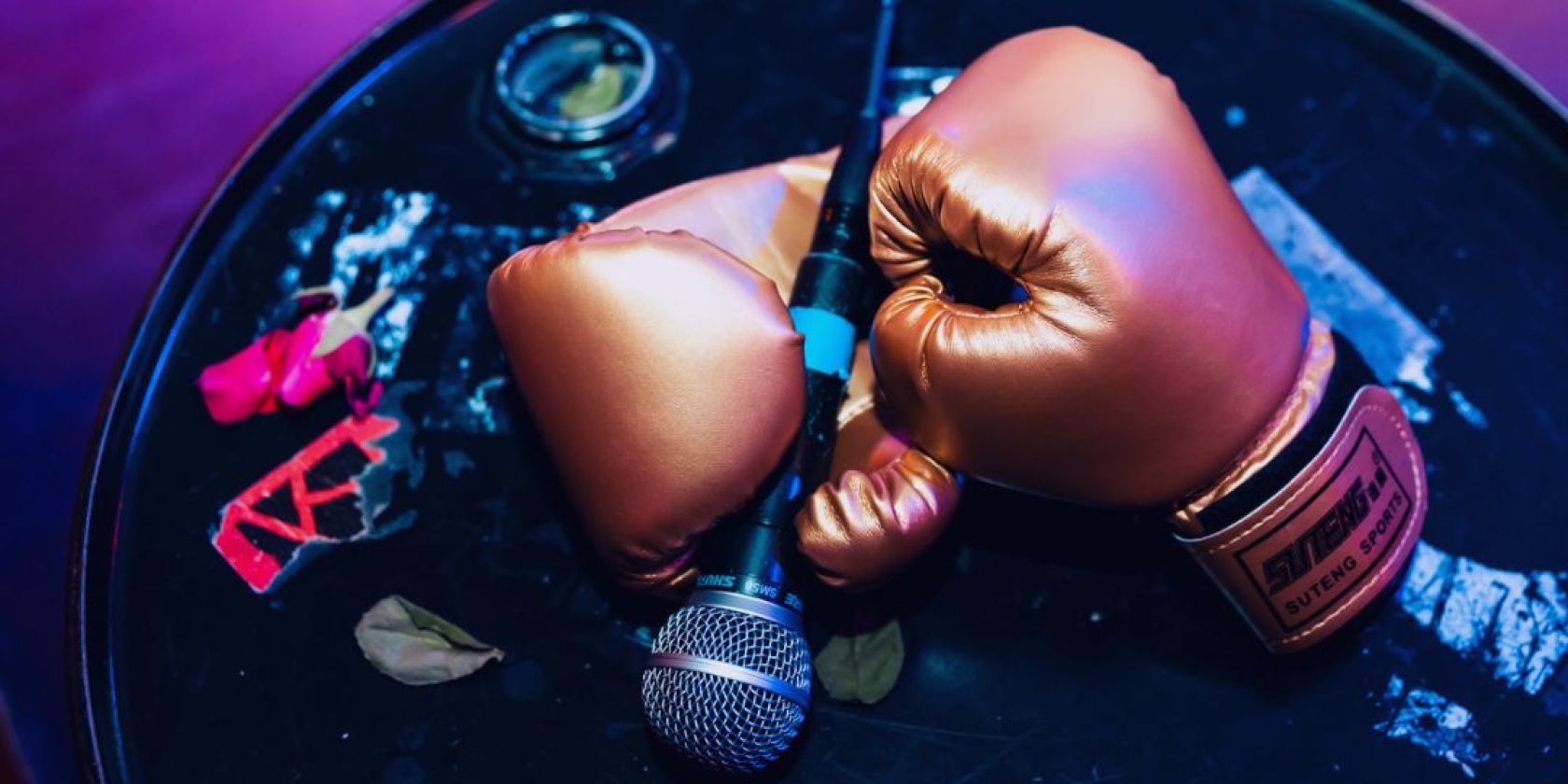Boxhandschuhe mit Mikrofon, &copy; Samson