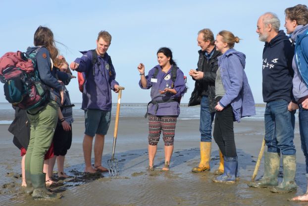 F&uuml;hrung: Wattwanderung vor dem Meldorfer Speicherkoog, &copy; Schutzstation Wattenmeer e.V.
