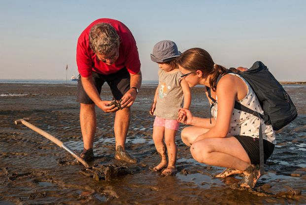 Kinder im Watt - Geführte Familien-Wattwanderung im Nordseebad Otterndorf, Quelle: Reservix