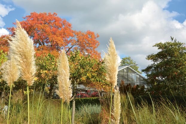 gve-indian-summer_0003_dsc_0540, &copy; Garten von Ehren