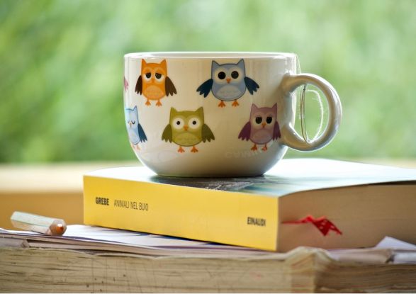 Tea Time in der Stadtb&uuml;cherei Wesselburen, &copy; Pixabay (sweetlouise)