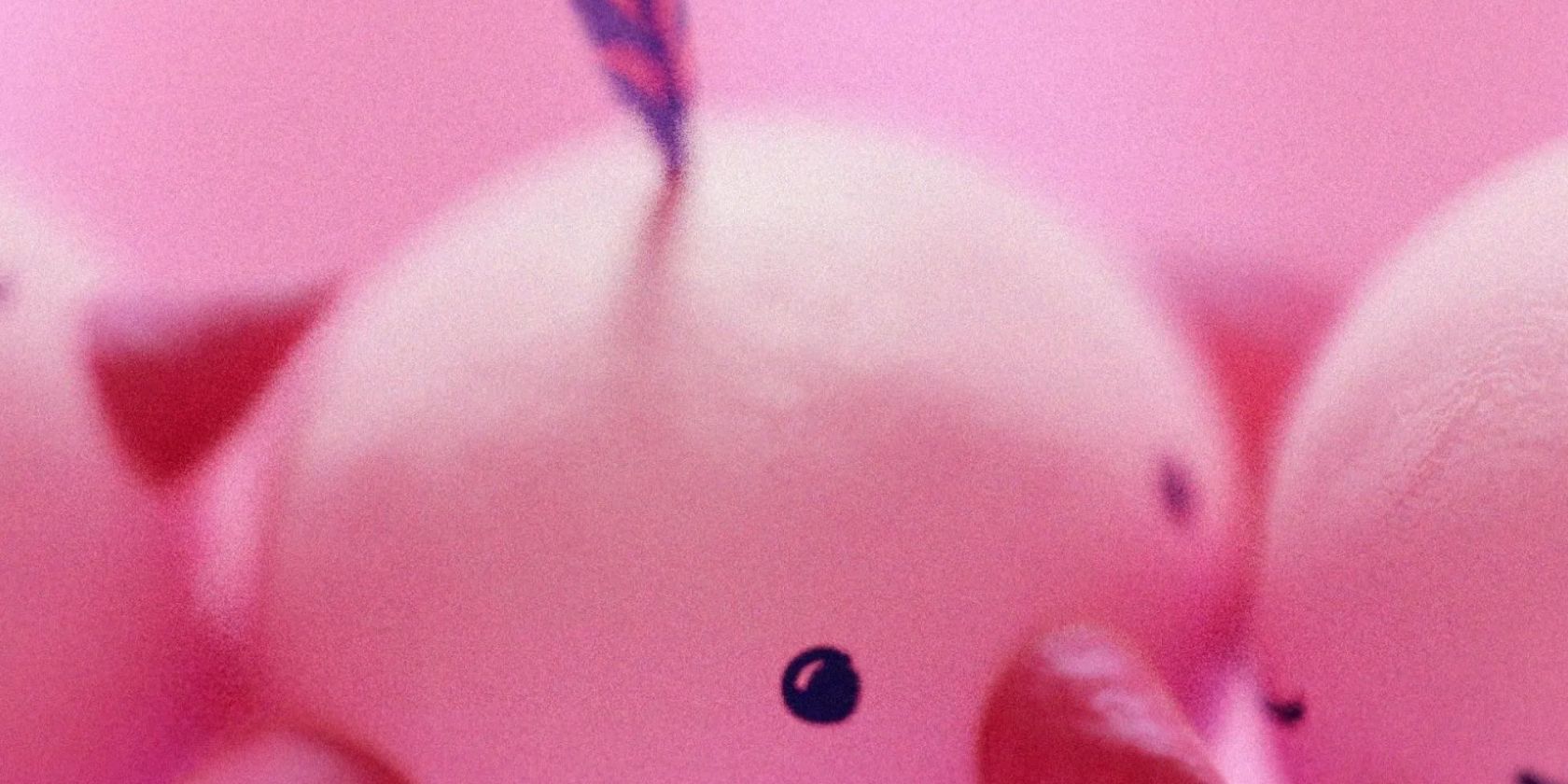 Mo&amp;Friese heben ab, &copy; First Flight / Adrian Jaffe