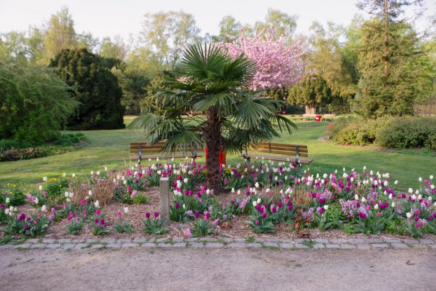 Botanischer Sondergarten im Fr&uuml;hling, &copy; Helge Masch